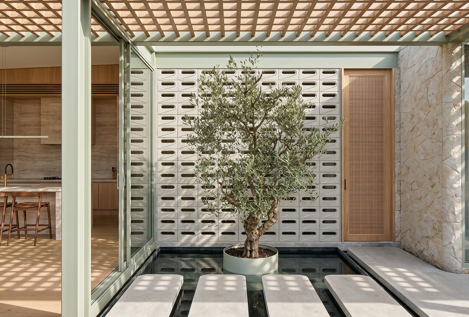 Acceso con celosía de madera y olivo en maceta sobre pavimento de baldosa, bajo una pérgola de listones.